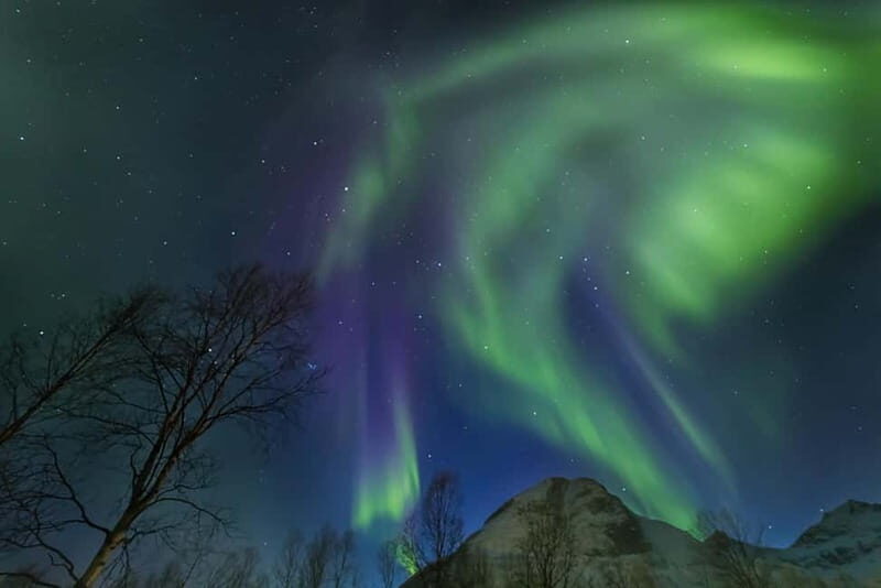 From Tromsø: Northern Lights Guided Bus Chase - What to Pack & Tips for Success