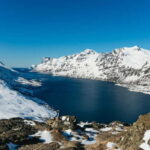 From Tromsø: Snowshoeing Hike with Picnic Lunch and Photos - Equipment, Practicalities, and Booking