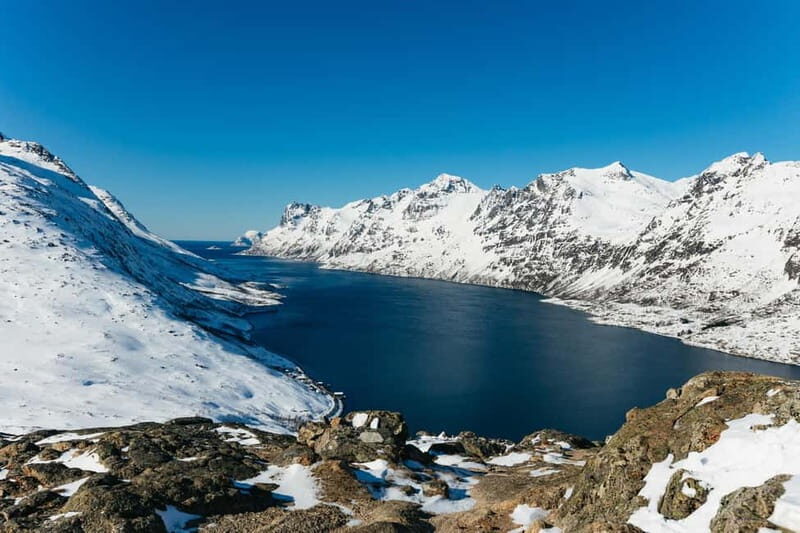 From Tromsø: Snowshoeing Hike with Picnic Lunch and Photos - Equipment, Practicalities, and Booking
