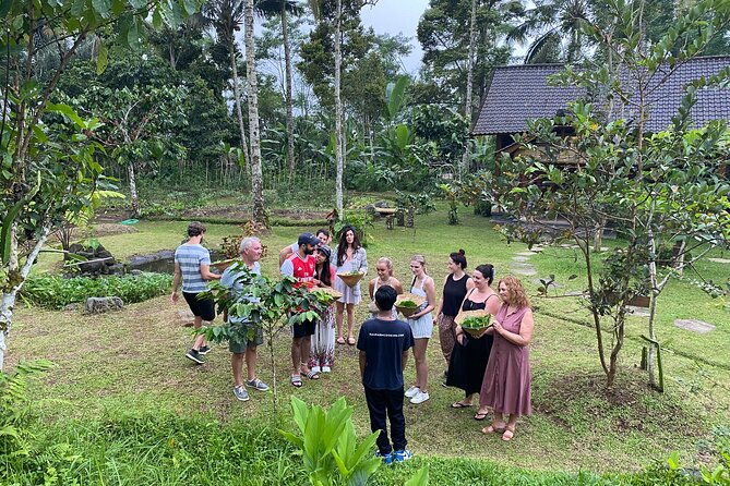 From Ubud: Authentic Bali Farm Cooking School & Organic Farm - Introduction