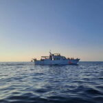 From Umag: Fish Picnic to Pore with Lunch and Swimming - Potential Drawbacks or Considerations
