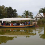 From Valencia: Albufera Natural Park Bus, Cruise and Lunch - An Overview of What to Expect
