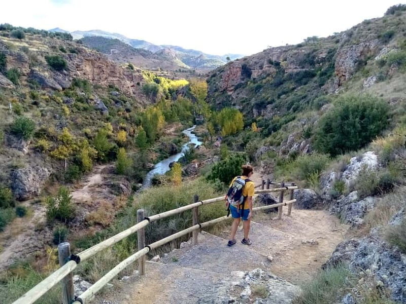 From Valencia: Peña Cortada Aqueduct Hiking Day Tour - What’s Included and What to Bring