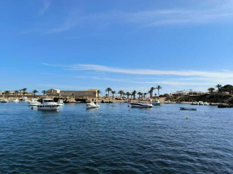 From Valencia: Tabarca Island - An Authentic Day in the Mediterranean: The Complete Experience