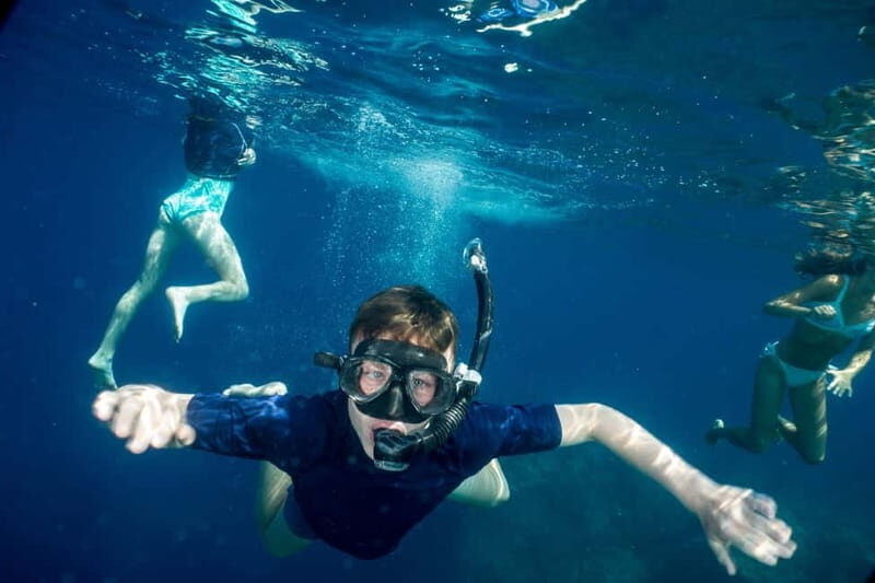From Vasiliki: Lefkada Snorkeling Tour by Boat - The Guides and Experience Quality