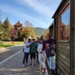 From Zlatibor/Uice: Mokra Gora & Tara National Park - Practical Details & Value