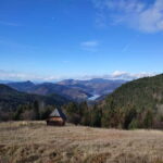 From Zlatibor/Uice: Tara National Park - Private Tour - What’s Included and What to Keep in Mind