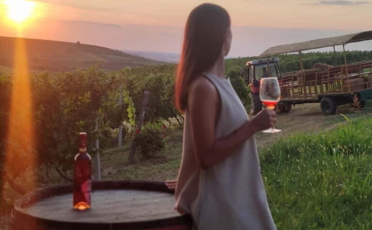 Fruka Gora Wine Tasting - Why This Tour Offers Great Value