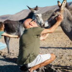 Fuerteventura Aloe & Olivo Tour with Optional Lunch - The Practical Stuff: What to Expect