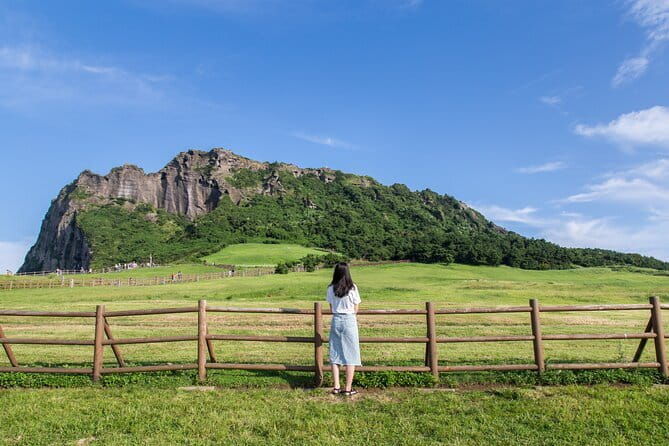Full-day Customizable Private Jeju Island Tour - Key Points