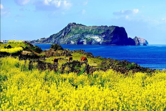 Full Day Jeju Private Customizable highlight Tour - Introduction
