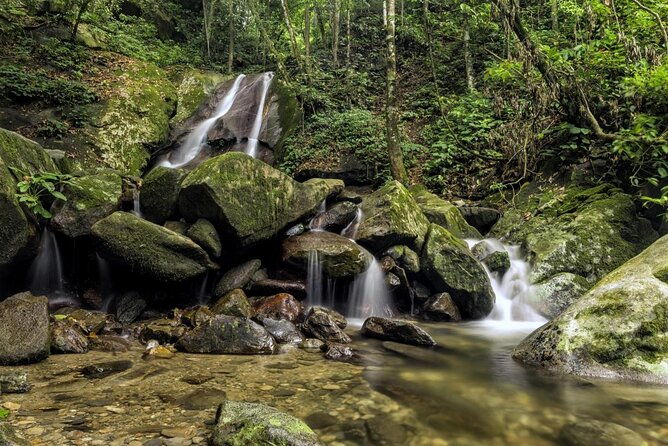 Full-Day Kinabalu Park and Poring Hot Spring Day Trip - The Journey Begins: Pickup and Transport