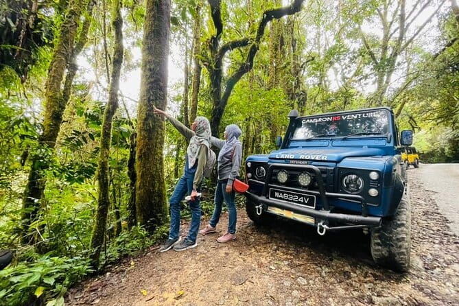 Full Day Mossy Forest Experience - Key Points