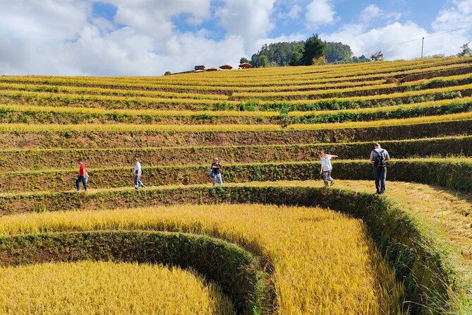 Full day motorbike Mu Cang Chai - What to Expect on the Mu Cang Chai Full-Day Motorbike Tour
