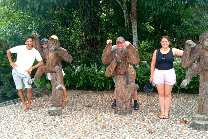 Full Day Orang Utan Sepilok, Proboscis Monkey, Sunbear, RDC - Exploring Borneo’s Wildlife in a Full Day Tour: Orang Utan, Proboscis Monkey, Sun Bear & Rainforest Discovery