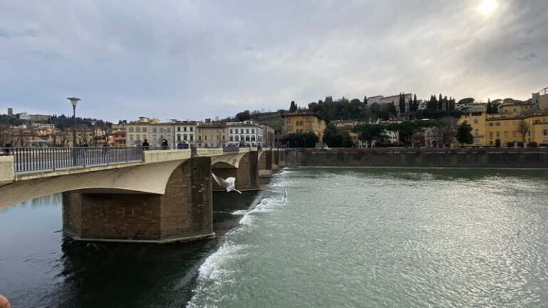 Full Day Private Wine Tasting in Chianti from Florence - Castello di Verrazzano: Wine, History, and Views