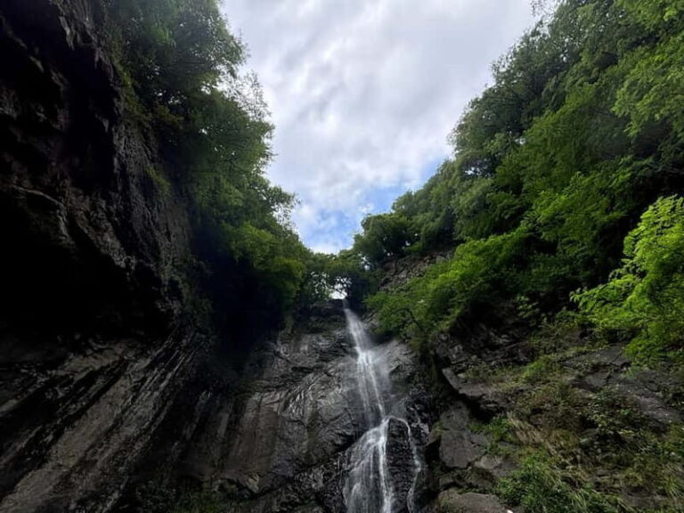 Full Day Tour from Batumi to Waterfalls - What to Expect from the Tour
