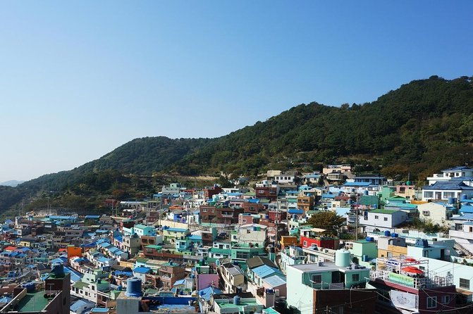 Full-Day Tour Unmissable things to do in Busan - Key Points