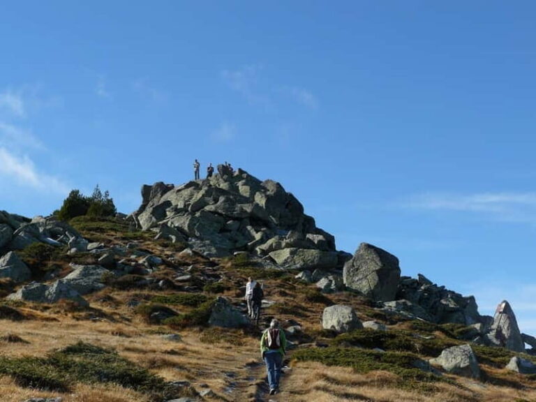 Full-Day Vitosha and Cherni Vruh Peak Hiking Tour - Who Will Love This Tour