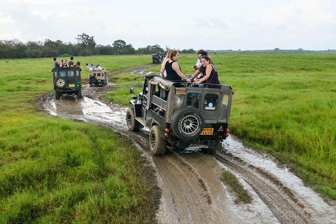 Full Day Wilpaththu National Park Safari (All Inclusive) - Exploring the Wilpaththu National Park Safari: An Honest Review