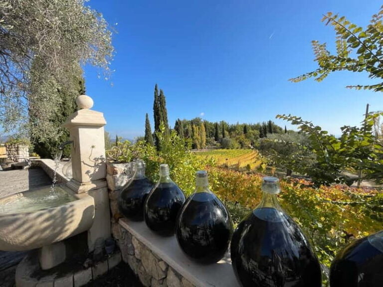 Full-Day Wine Tour in Bellet & Saint-Paul de Vence From Nice - What’s Included and What to Keep in Mind