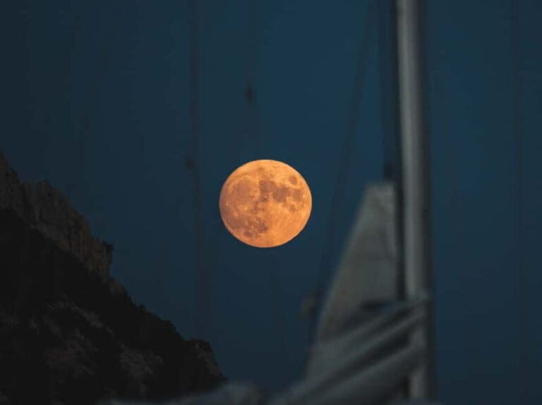 Full Moon Magic  2h Night Sailing in Sotogrande - Why You Might Love This Tour
