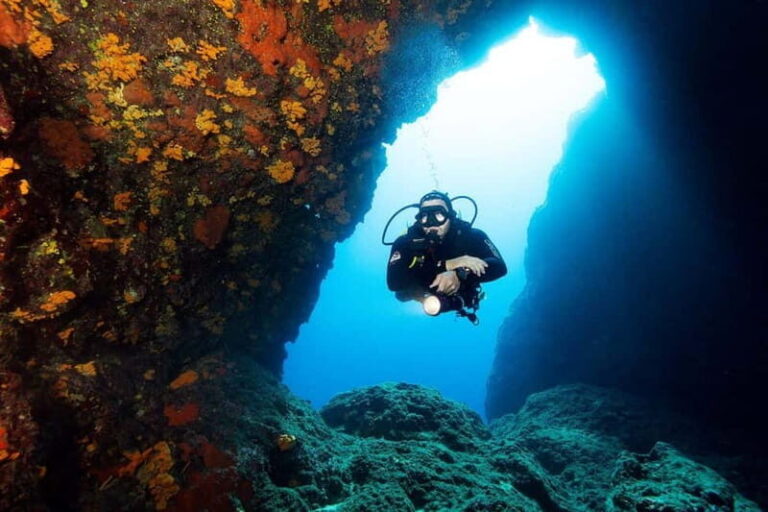 Fun Diving at Amorgos Diving Center - The Dive Sites and Experience