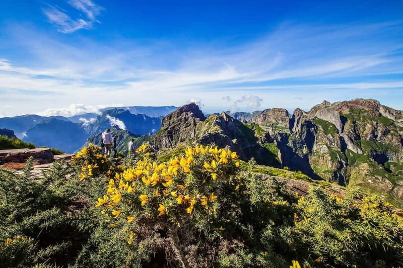 Funchal: 4x4 Jeep Trip to the East and Northeast of Madeira - An In-Depth Look at the Itinerary