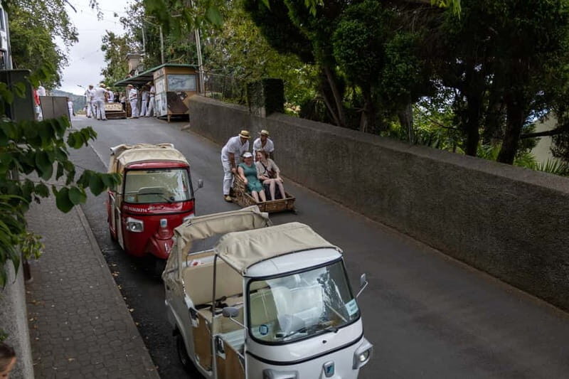 Funchal: Guided Tuk Tuk Tour to Toboggan Rides & Old Town - Who Should Book This Tour?
