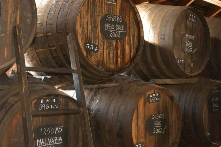 Funchal: H.M. Borges Winery Private Tour and Wine Tasting - Introduction to the H.M. Borges Private Tour