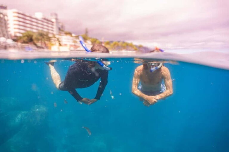 Funchal: Snorkeling Adventure in Eco-Park / Shore or by Boat - Marine Life and Artificial Reef Highlights
