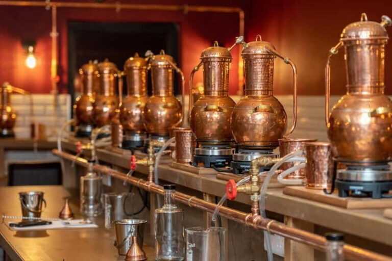 Galway: Gin School Masterclass - Who Should Do This Tour?