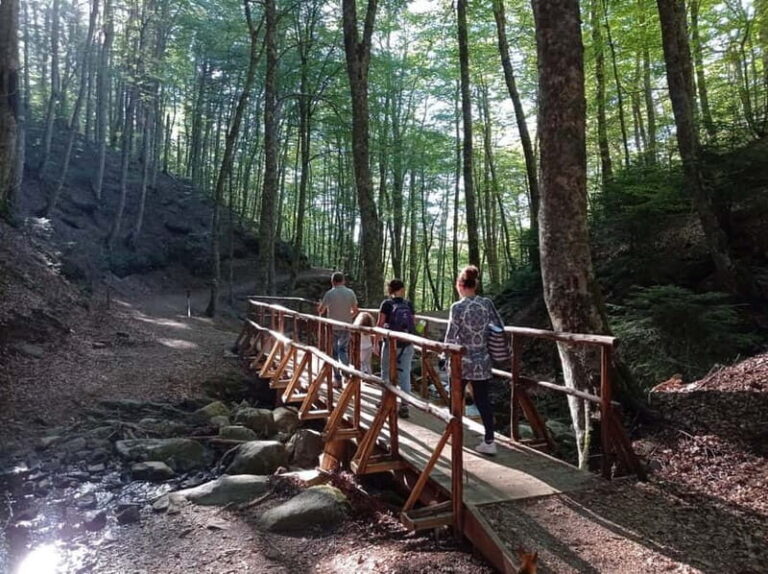 Gambarie: Private Guided Forest Trekking Tour - Practical Details & Value