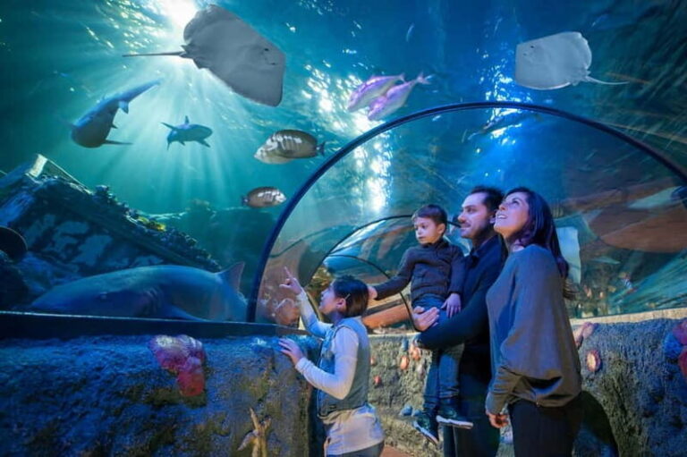 Gardaland SEA LIFE Aquarium: Open Date Entry Ticket - The Highlights in Detail