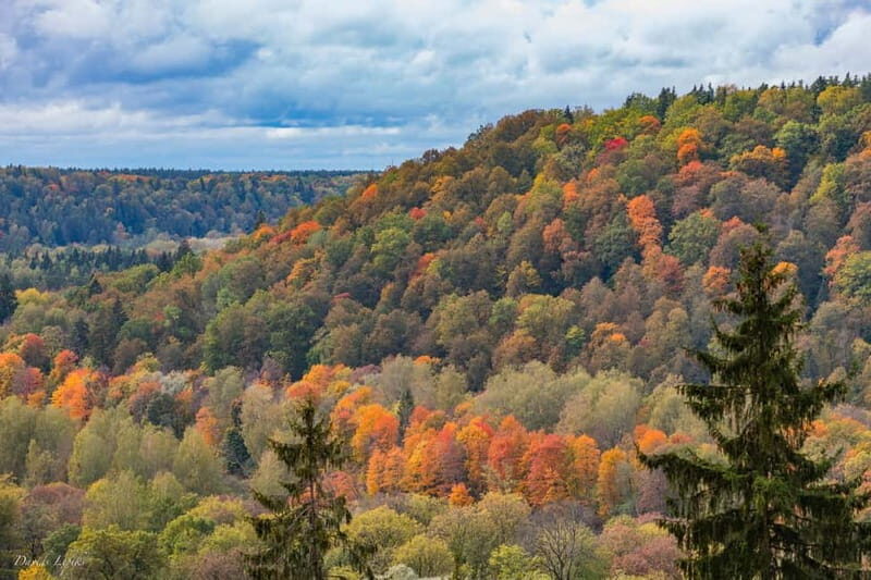 Gauja National Park Guided Hiking Tour - The Sum Up