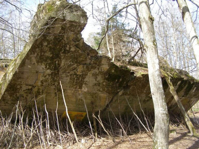 Gdansk Wolfs Lair with St. Lipka and Mamerki Private Guided - What Makes This Tour Stand Out?