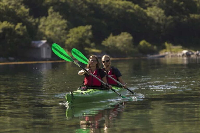 Geiranger: Guided Kayak Tour in Geiranger Fjord - Who Will Enjoy This Experience?