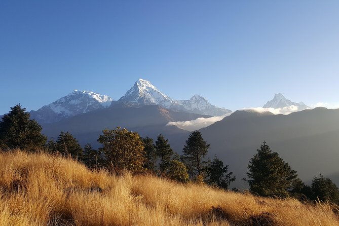 Ghorepani Poonhill Hiking Nepal - Day-by-Day Breakdown