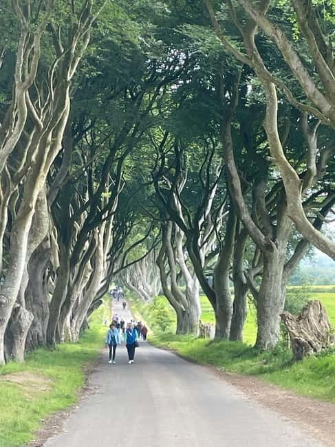 Giant's Causeway & Belfast city Private tour - Practical Details & Tips