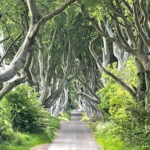 Giants Causeway Tour Cruise Ship Excursion - What to Expect on the Day