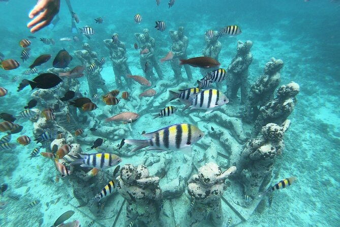 Gili Trawangan,Gili Meno& Gili Air Island:Snorkeling Day Trip Depart from Lombok - Exploring the Gili Islands: A Full Review of the Lombok Snorkeling Day Trip