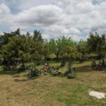 Gioia del Colle: E-Bike Tour through Vineyards & Wine - A Complete Breakdown of the Experience