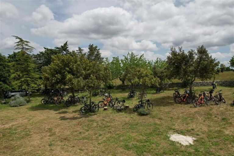 Gioia del Colle: E-Bike Tour through Vineyards & Wine - A Complete Breakdown of the Experience