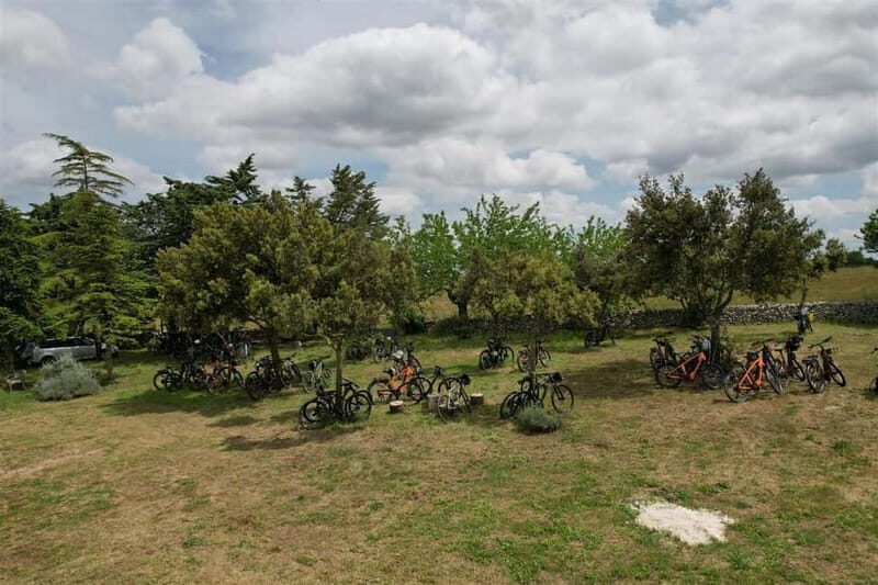 Gioia del Colle: E-Bike Tour through Vineyards & Wine - A Complete Breakdown of the Experience