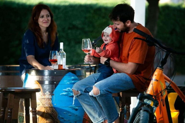 Gioia del Colle: Primitivo Wine Tasting in Local Winery - The Itinerary: What to Expect