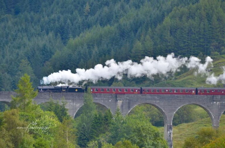 Glenfinnan: Glenaladale cruise, see the train and eagles 2hr - The Value of the Experience