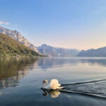 Gmunden: Guided Walking Tour - A Closer Look at the Gmunden Guided Walking Tour