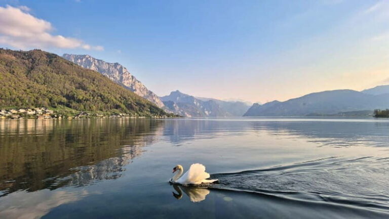 Gmunden: Guided Walking Tour - A Closer Look at the Gmunden Guided Walking Tour