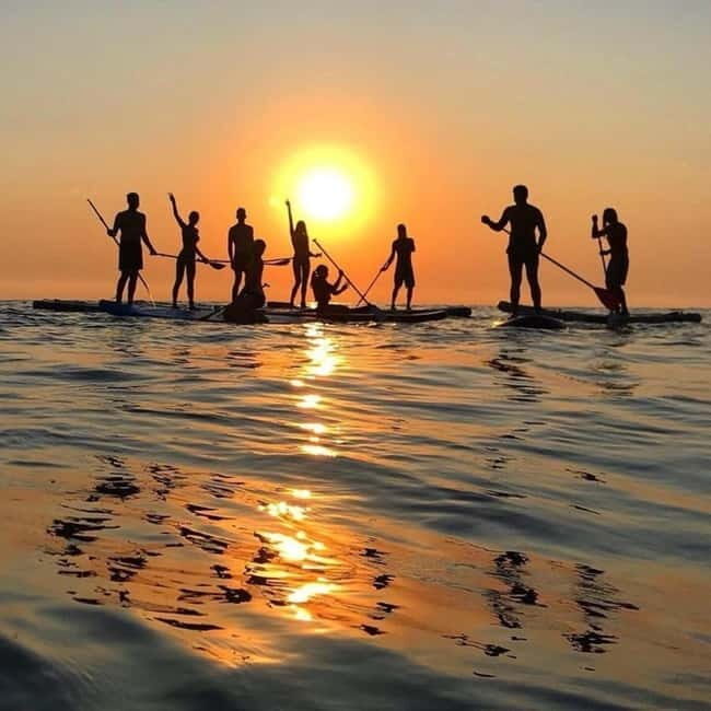 Golden Hour & Moon Light Paddle Surf Experience - The Scenic Highlights