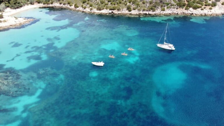 Golfo Aranci: Hydrobike Experience with Aperitif & Dolphins - The Full Experience: What You Can Expect